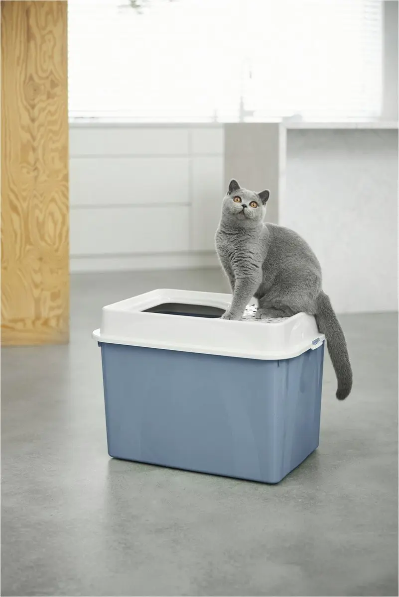 Rotho Berty Kattenbak - Blauw