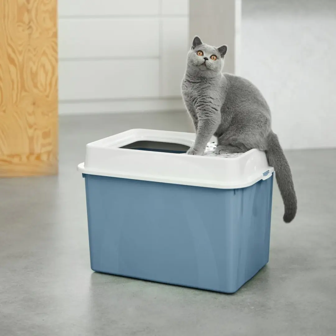 Rotho Berty Kattenbak - Blauw