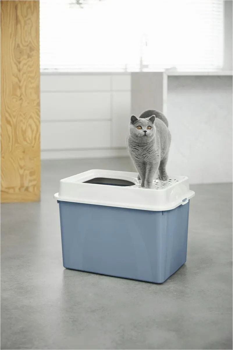 Rotho Berty Kattenbak - Blauw - afbeelding 6 van 6