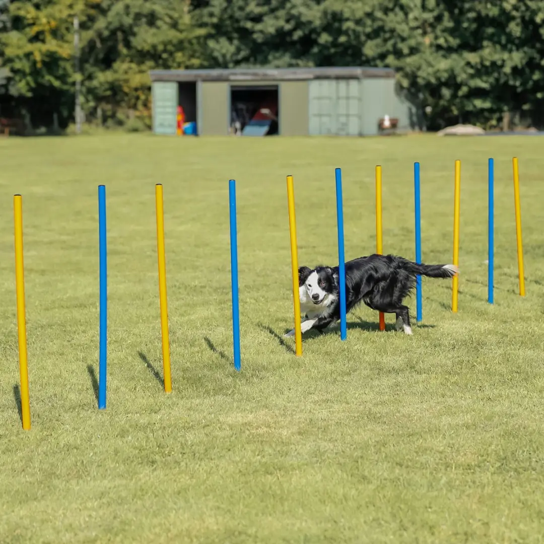 Trixie Dog Activity Agility Slalom - 12 Stuks - Blauw/Oranje