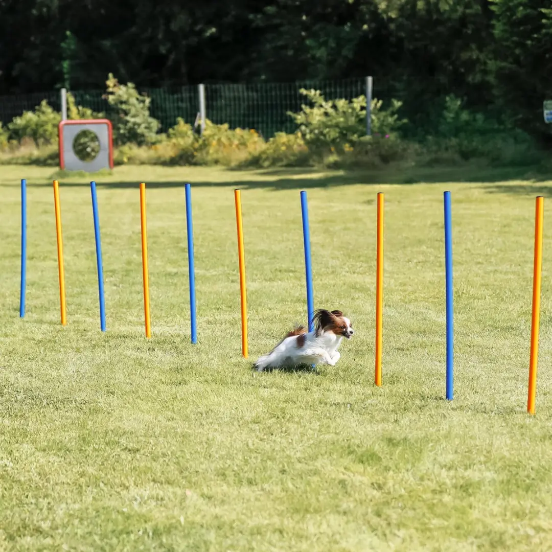 Trixie Dog Activity Agility Slalom - 12 Stuks - Blauw/Oranje