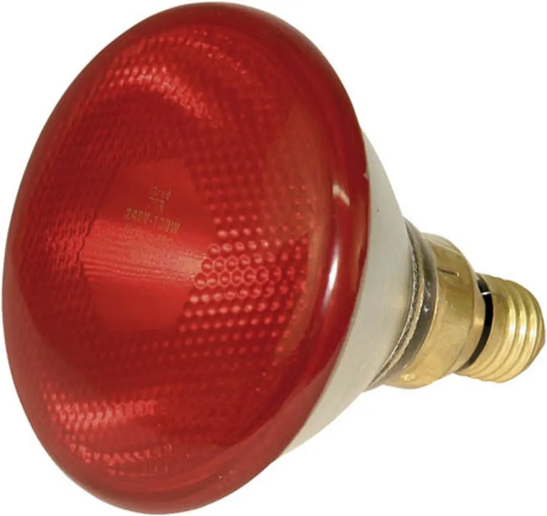 Kerbl Infrarood Warmlamp Rood E27 250W