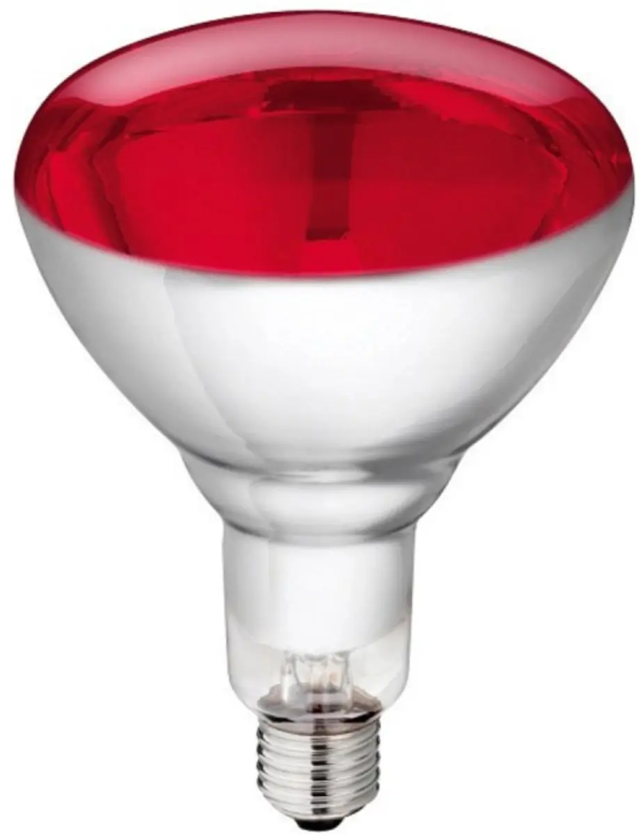 Kerbl Infrarood Warmlamp Rood E27 250W
