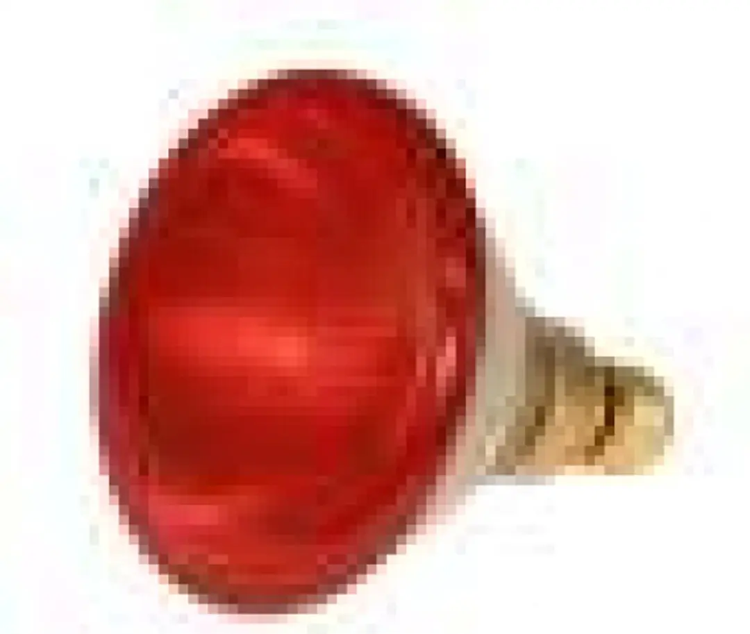 Kerbl Infrarood Warmlamp Rood E27 250W