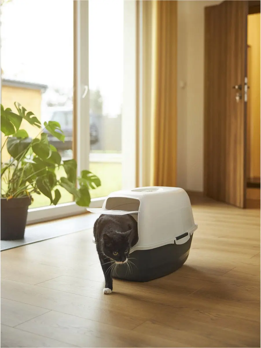 Rotho Mypet Kattenbak Eco Bailey 56x40x39cm - Beige & Zwart