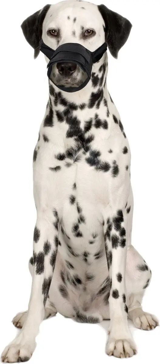 Flamingo Teddie Muilband Honden - Zwart - 38-66cm