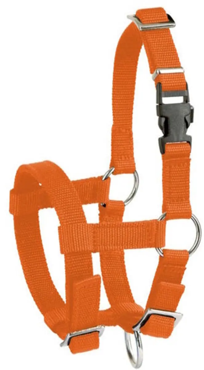 Kerbl Alpaca Halster