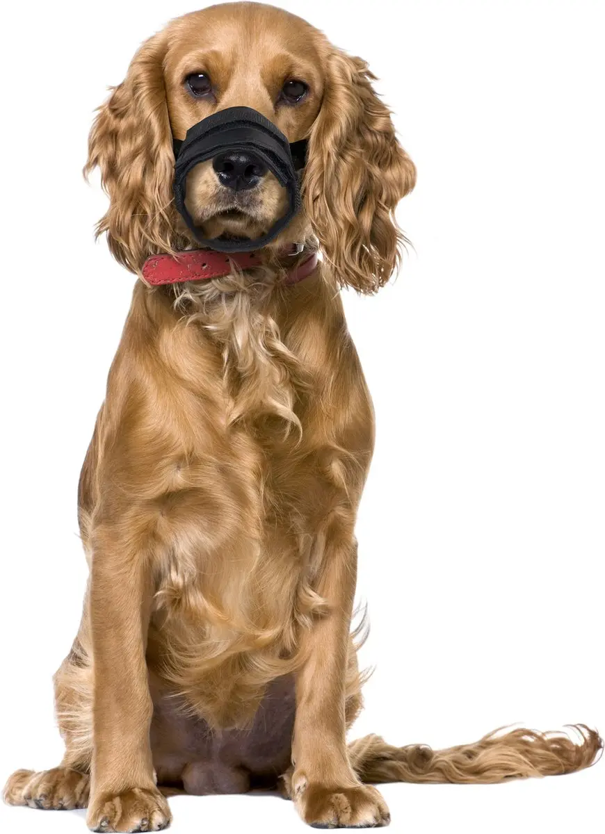 Flamingo Teddie Muilband Honden - Zwart S 33-49cm