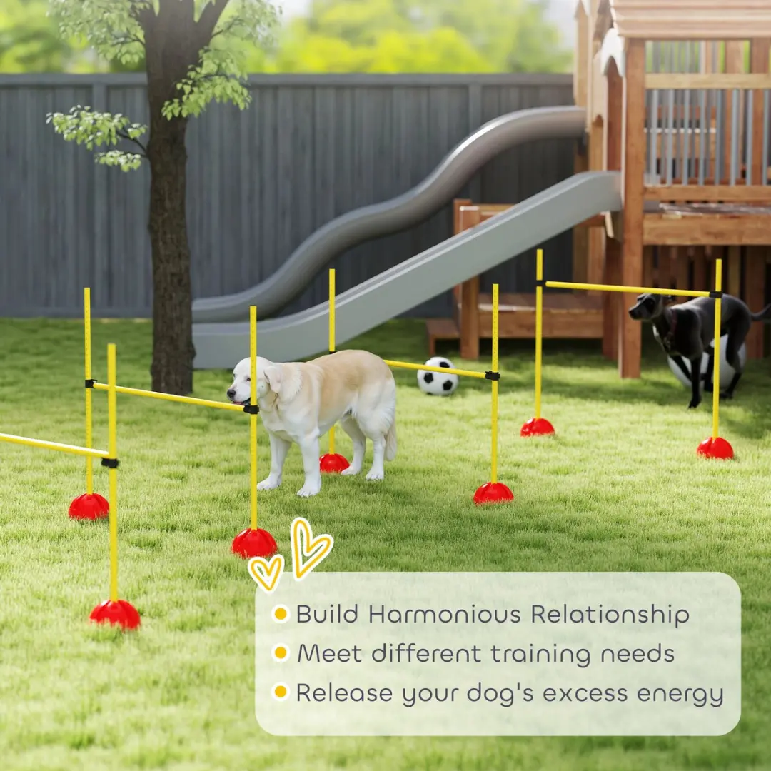 Pawhut Agility Set Honden 4-delig - 4 Hindernissen - Geel
