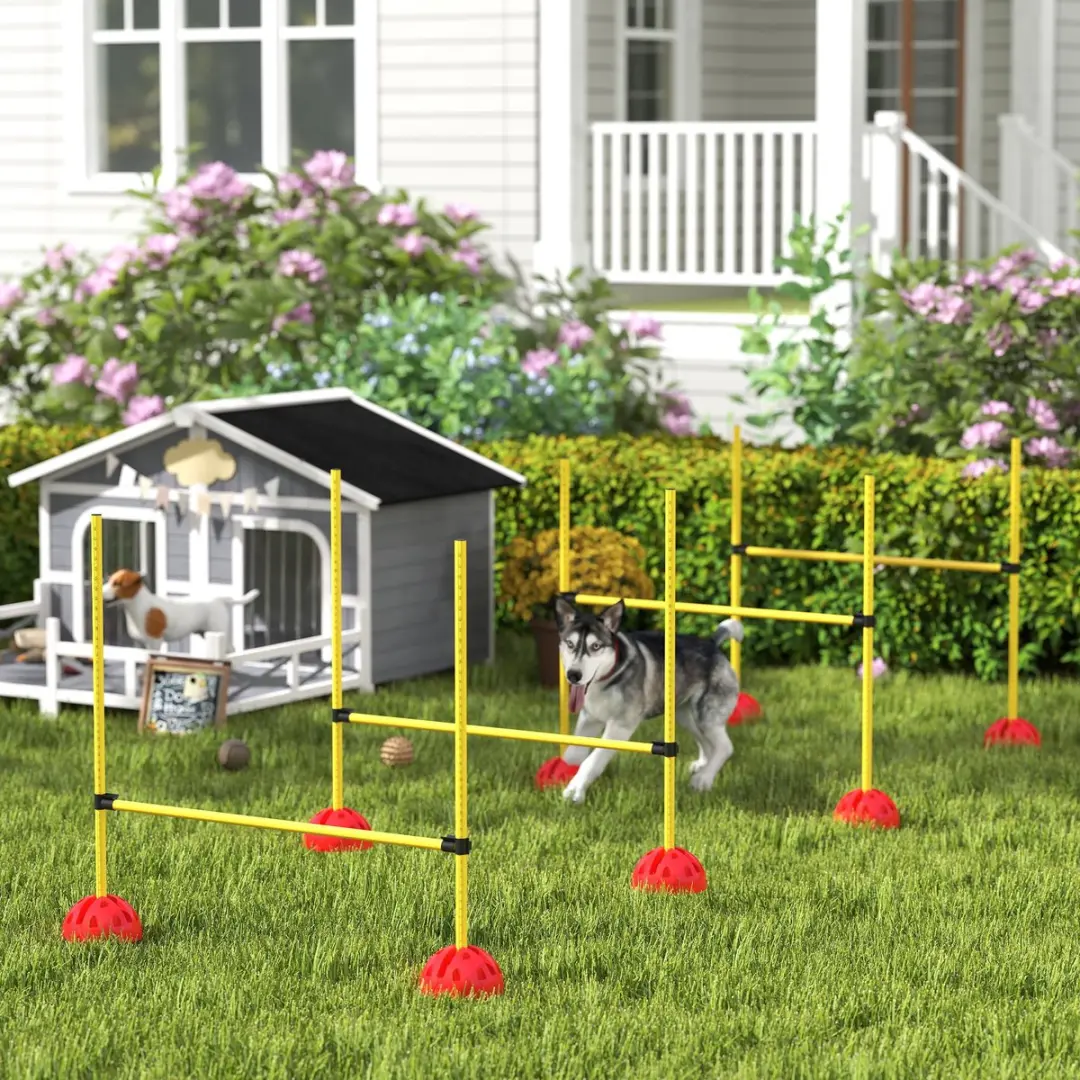 Pawhut Agility Set Honden 4-delig - 4 Hindernissen - Geel