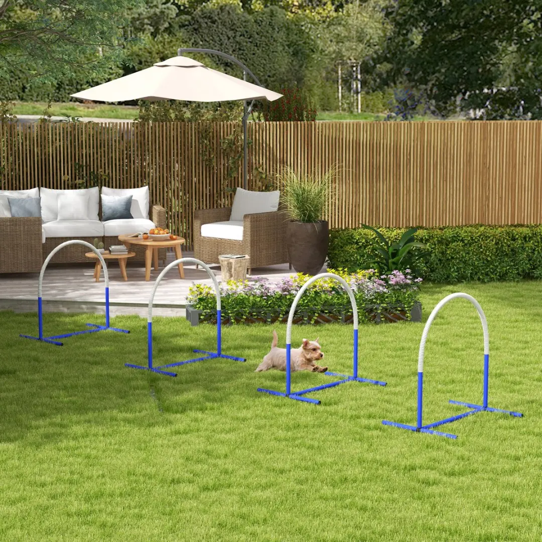 Pawhut Honden Agility Set 4-delig - Blauw/Wit