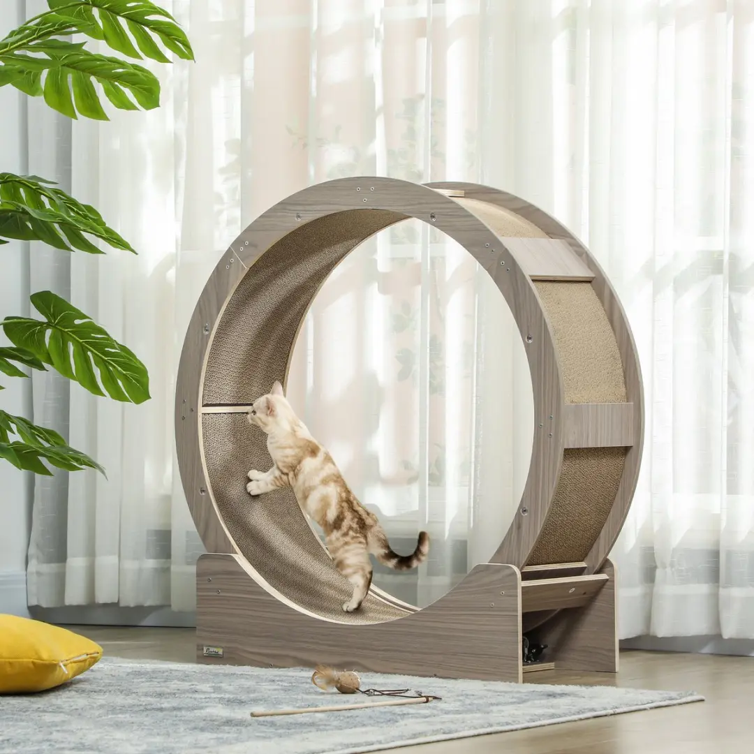 Pawhut Katzenlaufrad 91cm - Walnuss