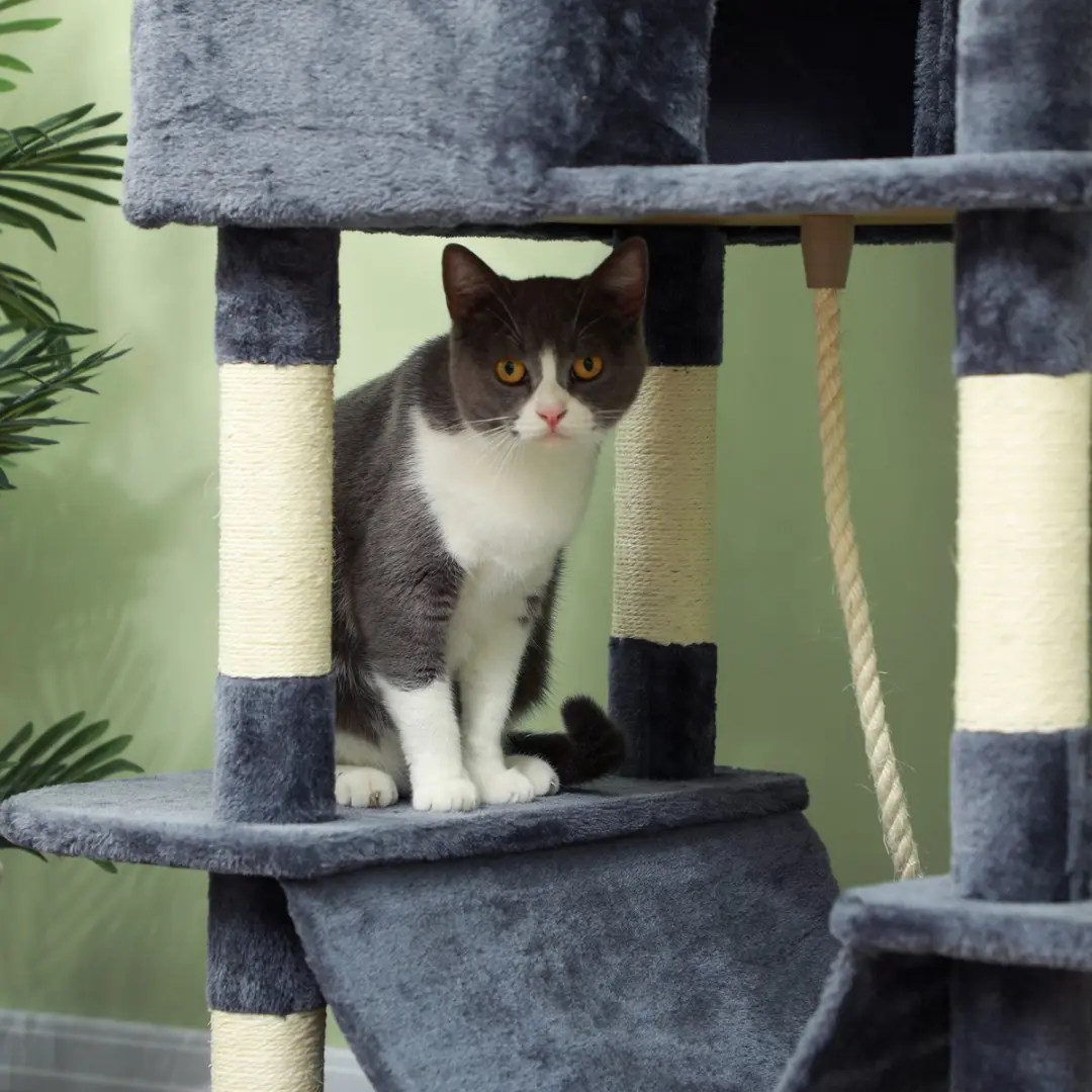 Pawhut Kattenboom Spaanplaat 60x50x206cm Donkergrijs - 4 Niveaus