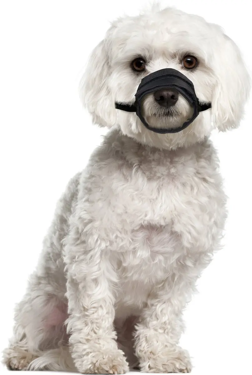 Flamingo Teddie Muilband Honden - XS - Zwart