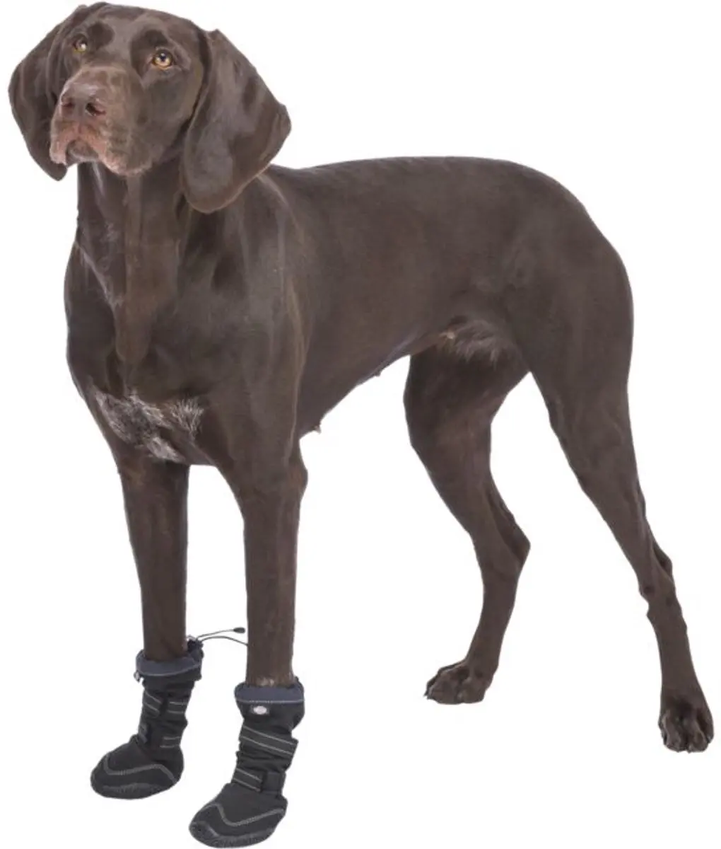 Trixie Walker Active Hondenschoenen XL - Zwart - 2 Stuks