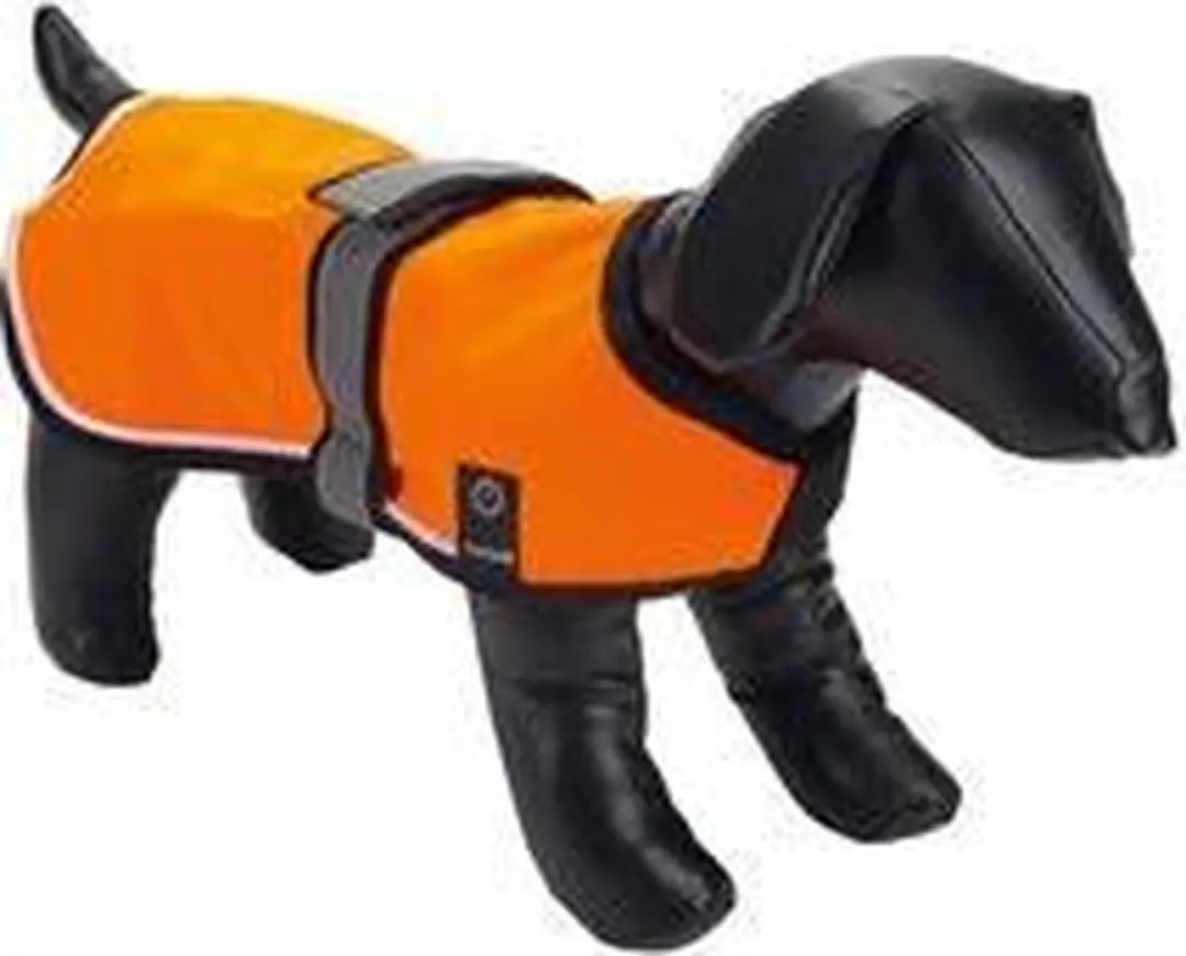 Beeztees Veiligheidsvest Hond LED+USB - M - Oranje