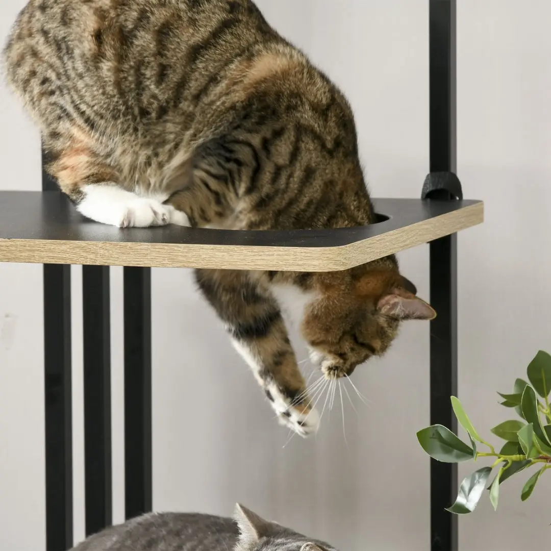 Pawhut Krabpaal 4 Niveaus - 4 Ligplekken - Ø18cm - Zwart