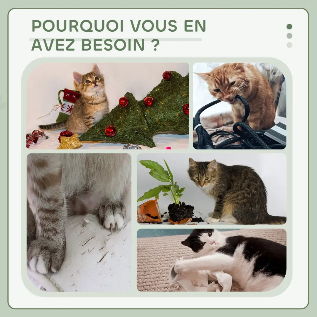 Pawhut Kattenboom Lichtgrijs 50x36x70cm