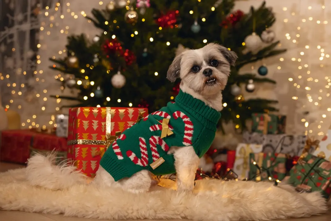 Beeztees Kersttrui Candy Canes - Groen M
