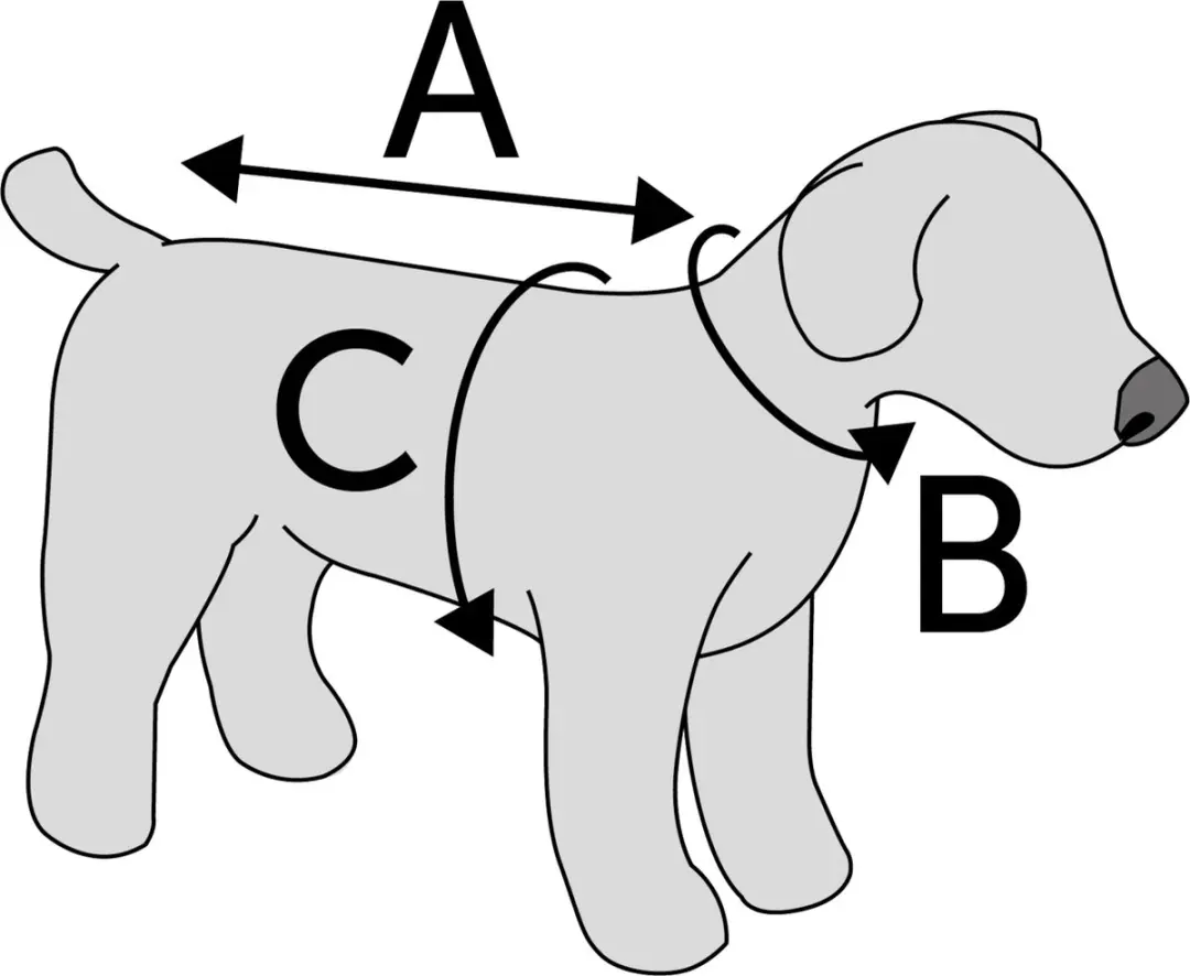 Flamingo Winterjas Zane Hondenkleding - 65 cm - Zwart