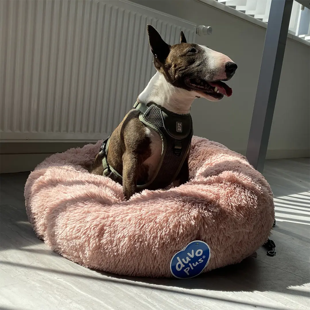 Duvo Dierenkussen Snug Donut Bed S - 50x50x25cm Roze