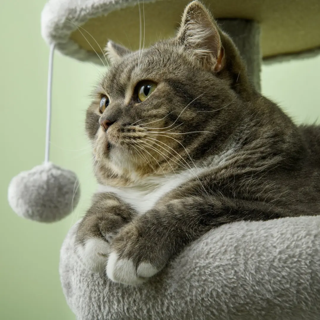 Pawhut Kattenboom - 65x30x104cm - Lichtgrijs