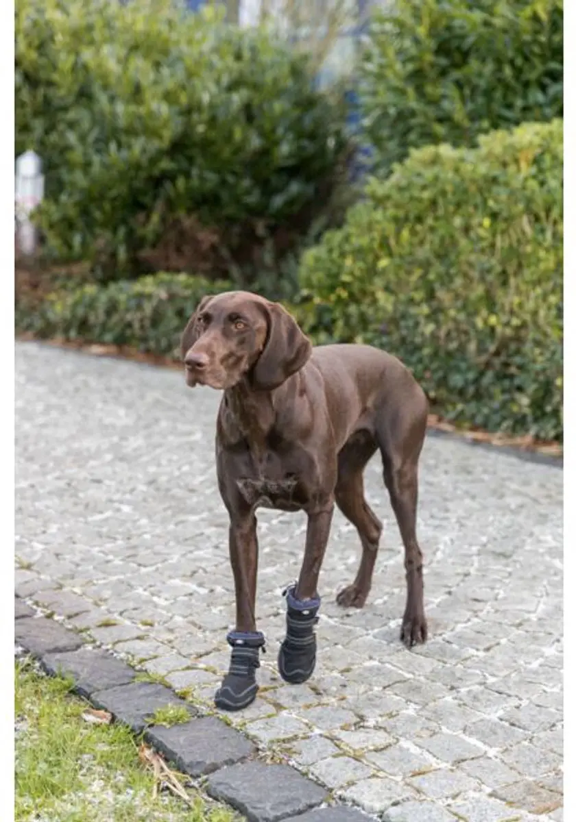 Trixie Walker Active Hondenschoenen M - Zwart - 2 Stuks