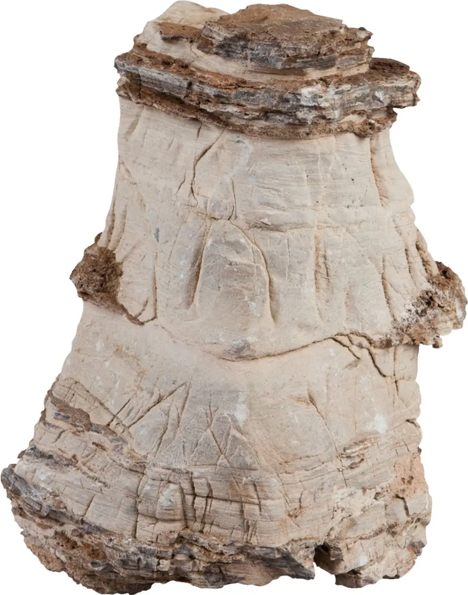 Sera Rock Asian Pagoda L
