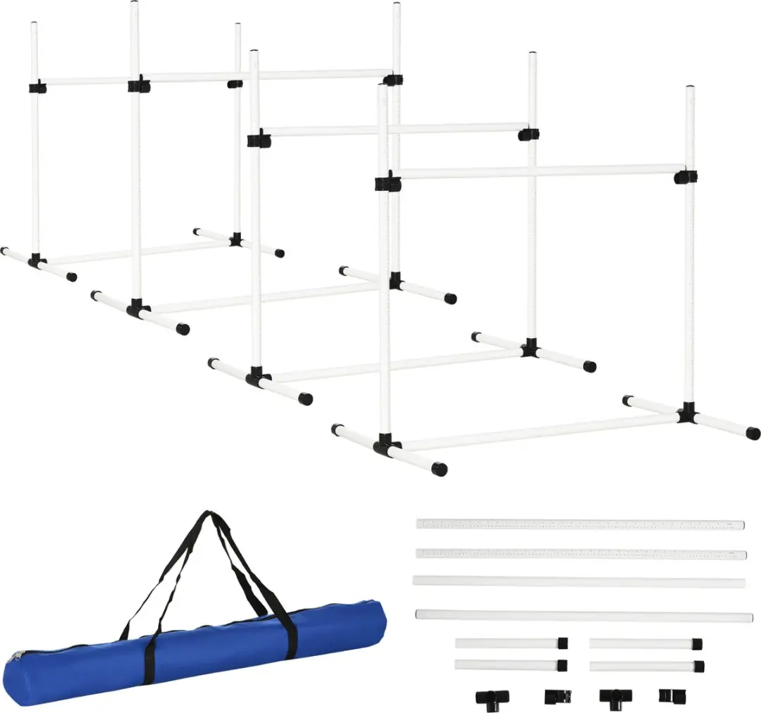 Pawhut Honden Agility Set