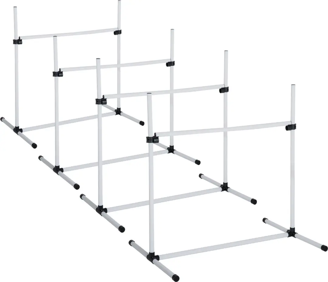 Pawhut Honden Agility Set - Wit