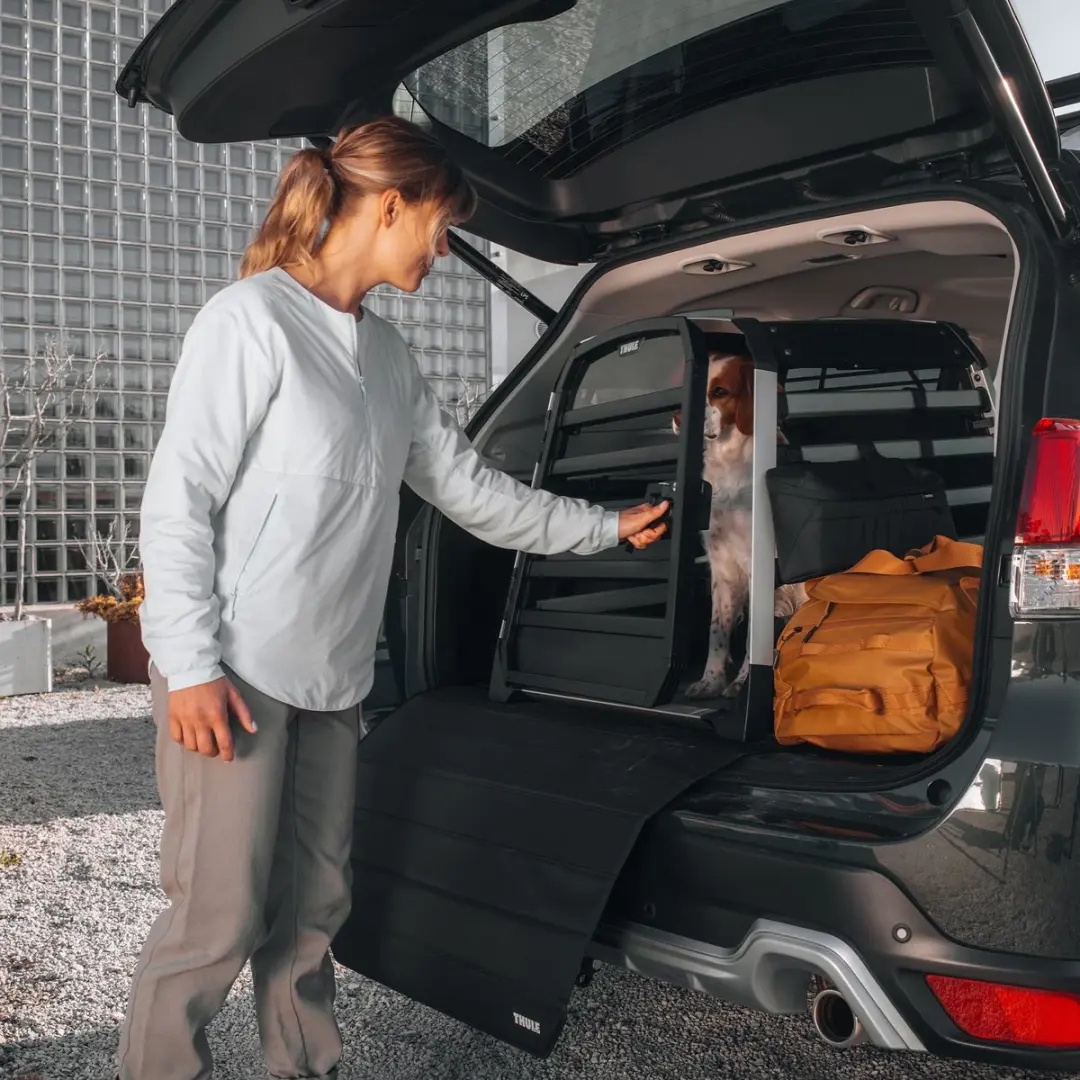 Thule Allax Hondenautobench Grijs - S 72-80x55x58cm - afbeelding 6 van 6