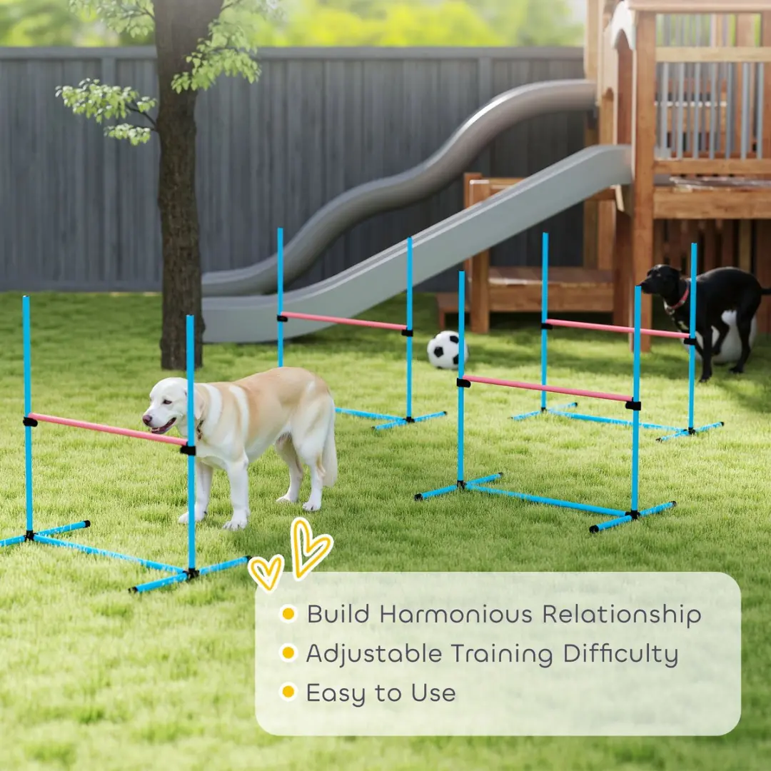 Pawhut Honden Agilityset 4-delig - Lichtblauw