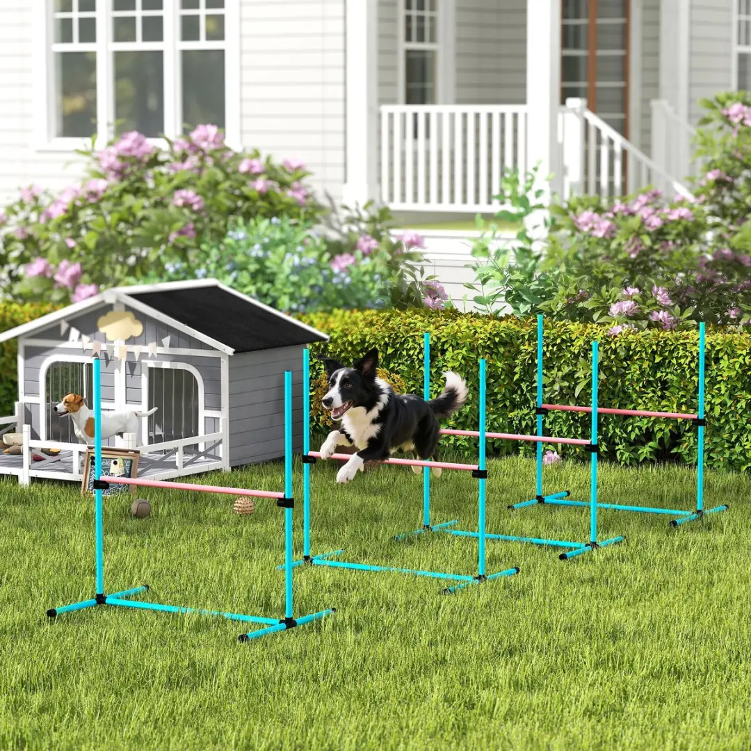 Pawhut Honden Agilityset 4-delig - Lichtblauw