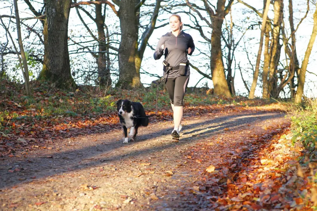 Trixie Heupriem met Jogginglijn - Zwart - afbeelding 6 van 6