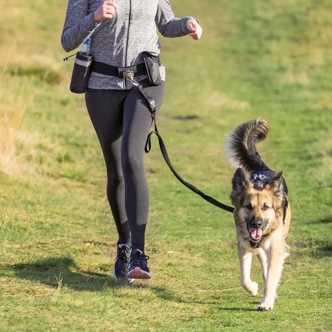Trixie Heupriem met Jogginglijn - Zwart
