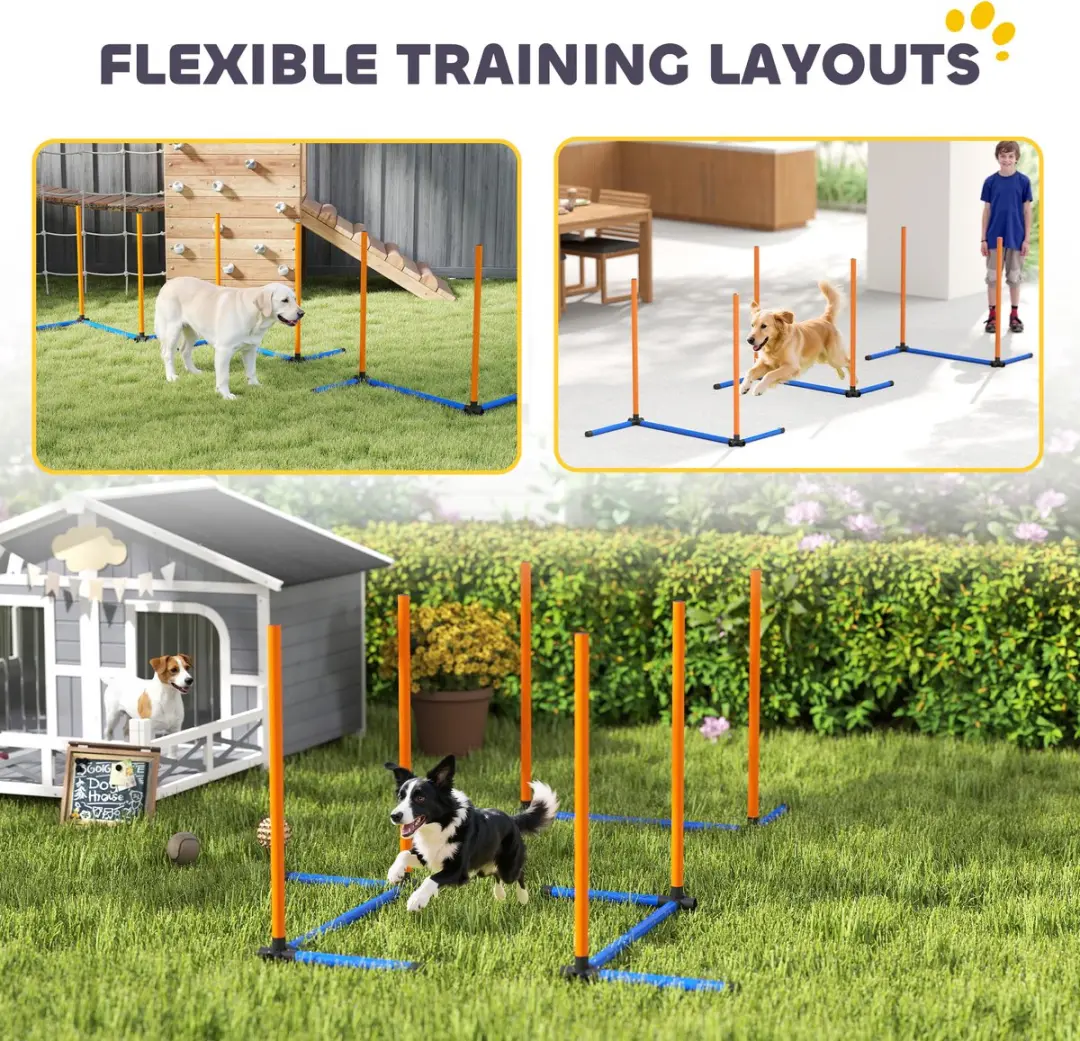 Pawhut Honden Agilityset 3-delig - Oranje