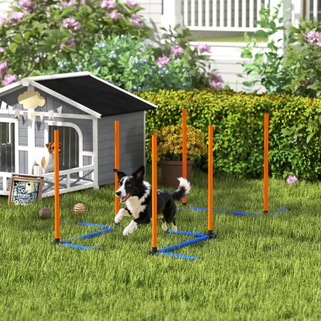 Pawhut Honden Agilityset 3-delig - Oranje