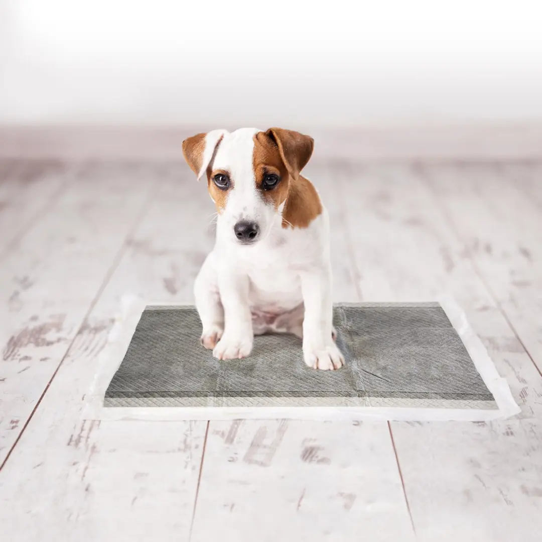 Duvo+ Puppy Pad Carbon 30x45cm