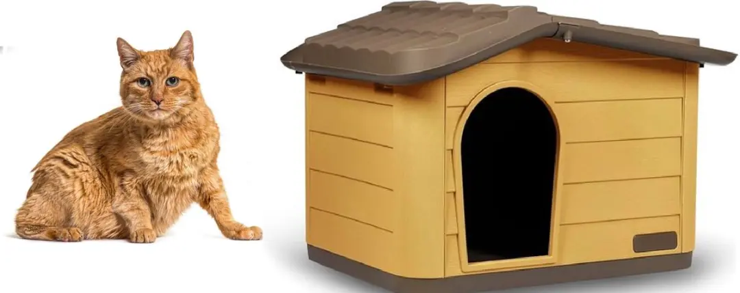 Duvo Kattenhuis
