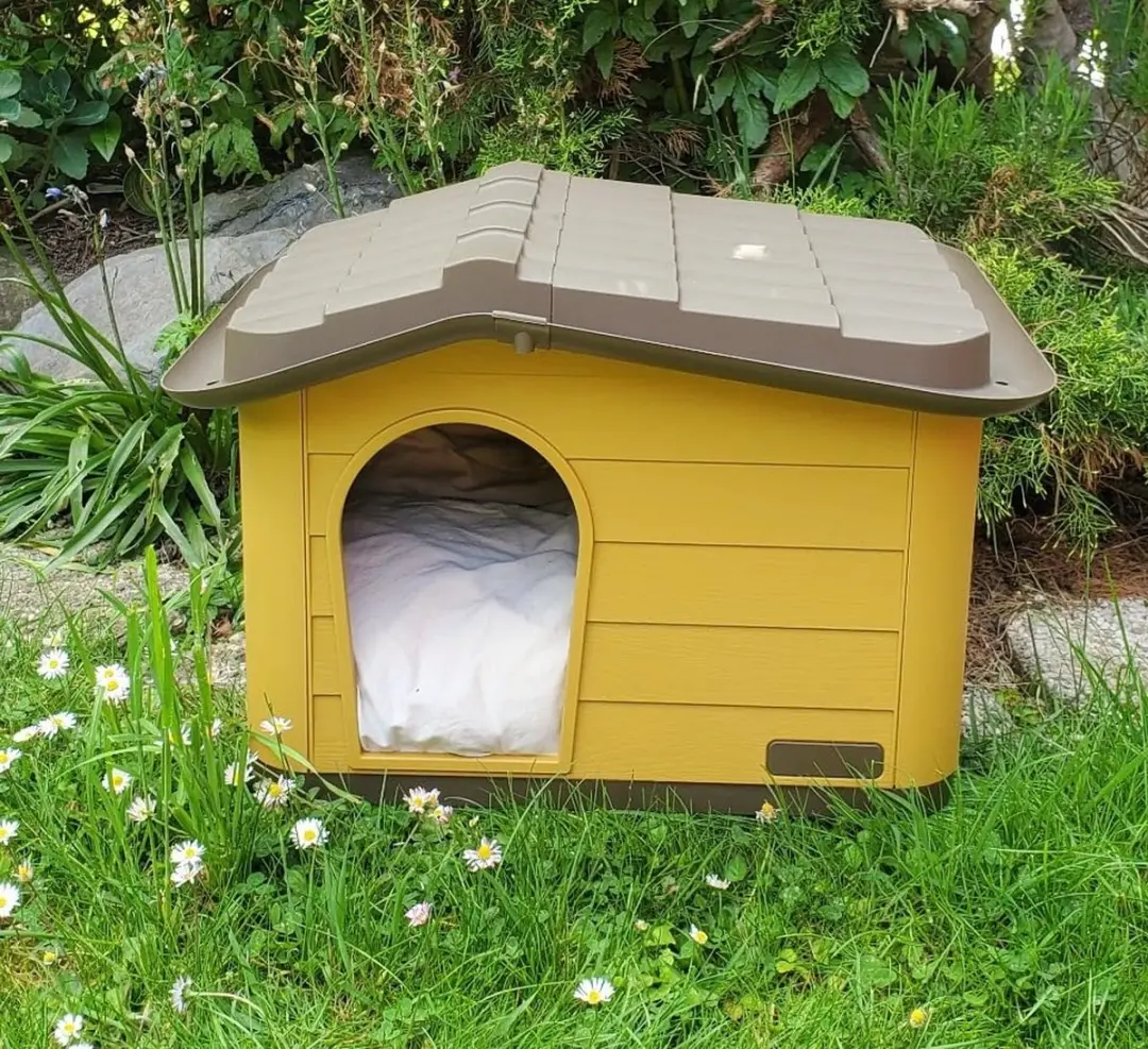 Duvo Kattenhuis - 51x38x35cm - Honing bruin