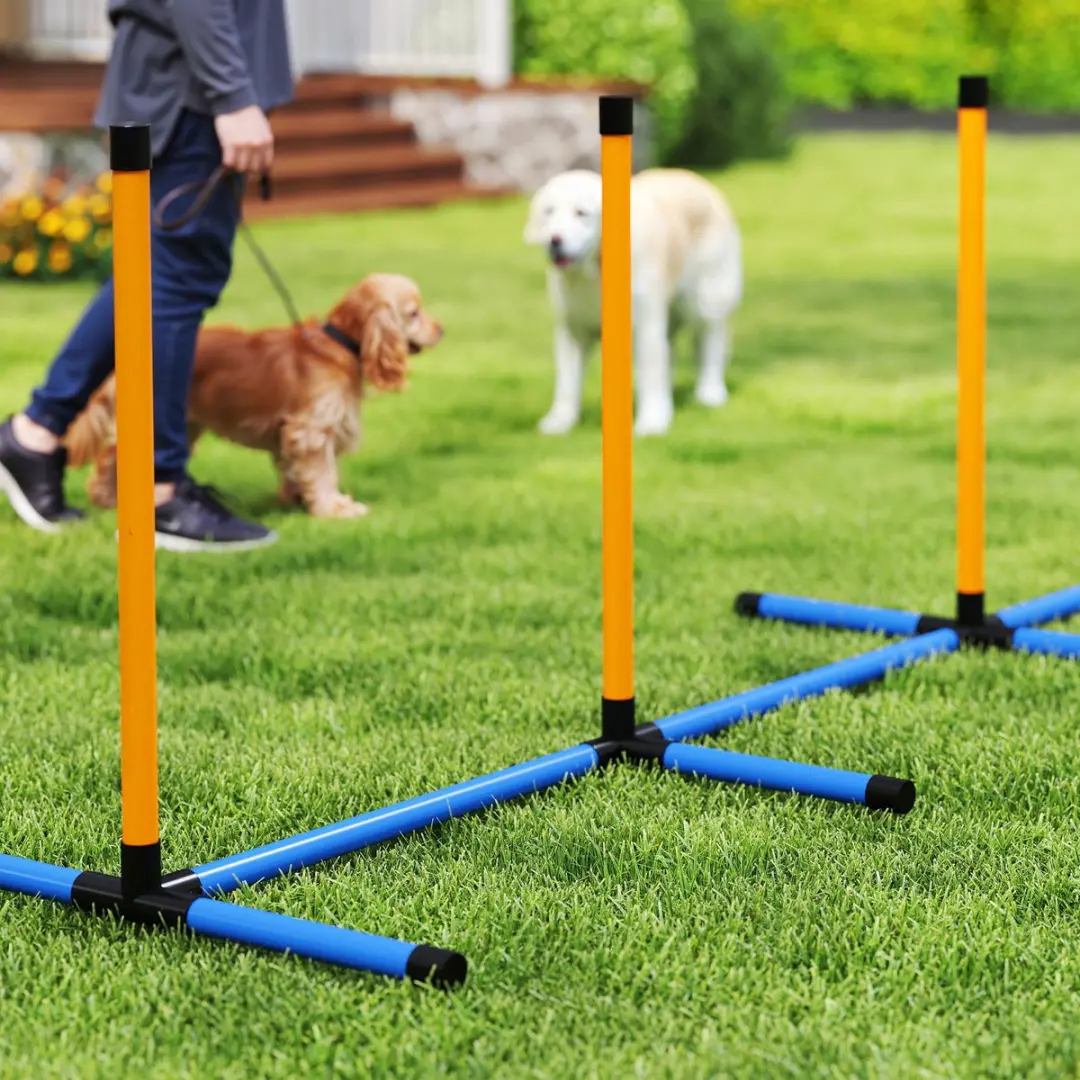 Pawhut Agility Set Honden 7-delig - Blauw/Orange