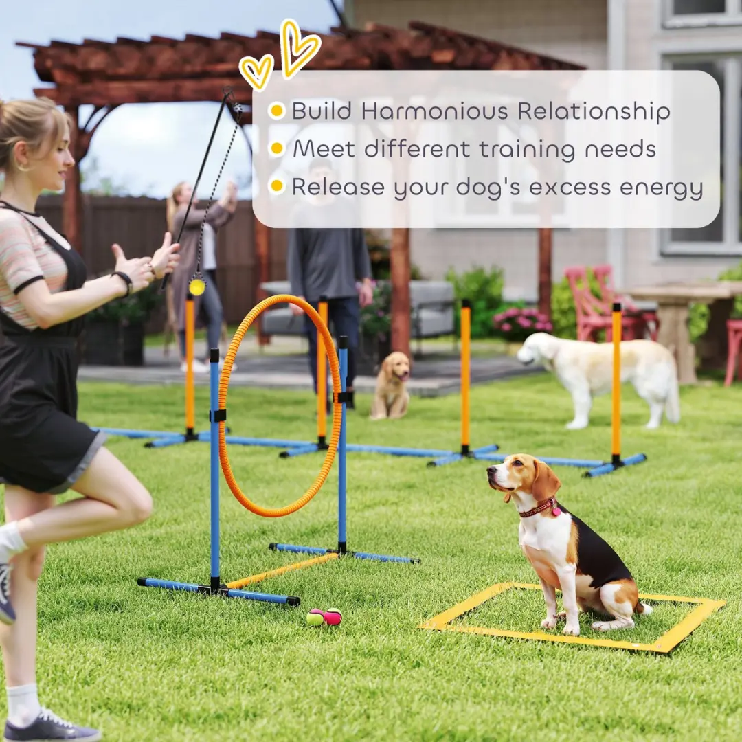 Pawhut Agility Set Honden 7-delig - Blauw/Orange
