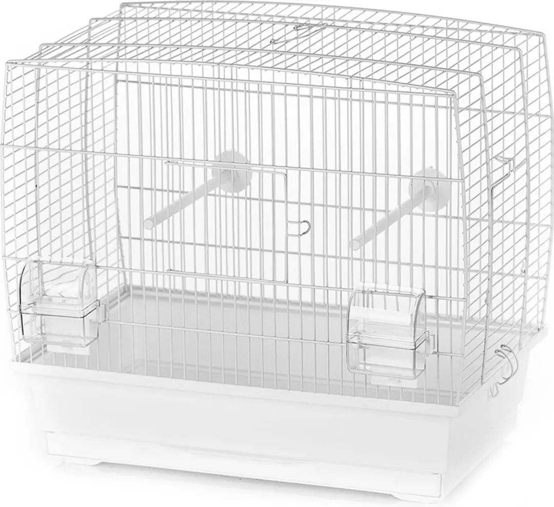 Vogelkooi Natalia 2
