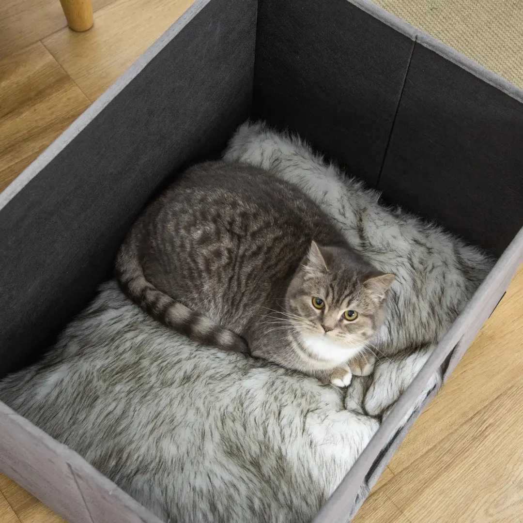 Pawhut Kattenhuis 2-in-1 Voetenbankje - 60x45x44,5cm - Grijs