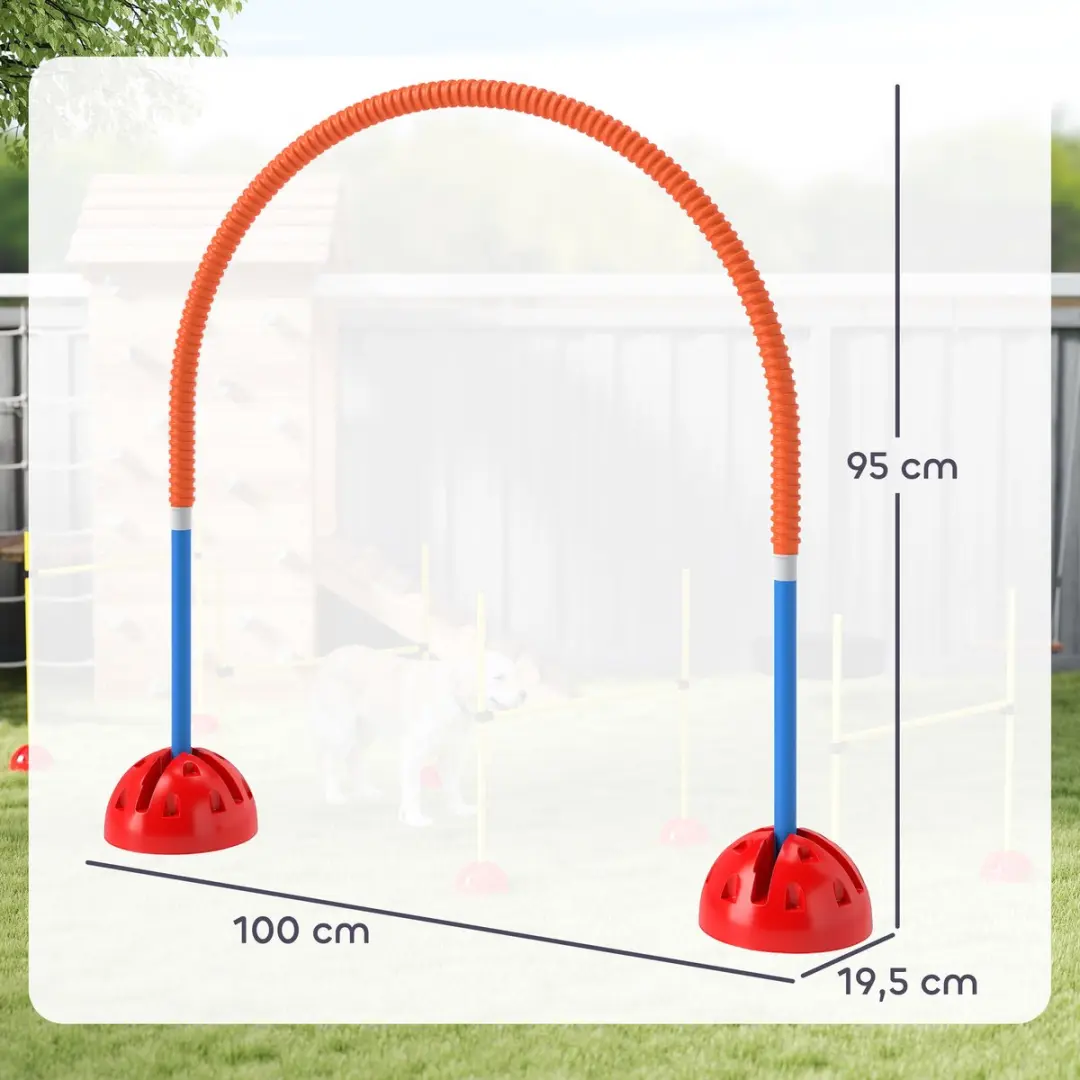 Pawhut Agility Set voor Honden - 4 Stuks - Blauw/Orange