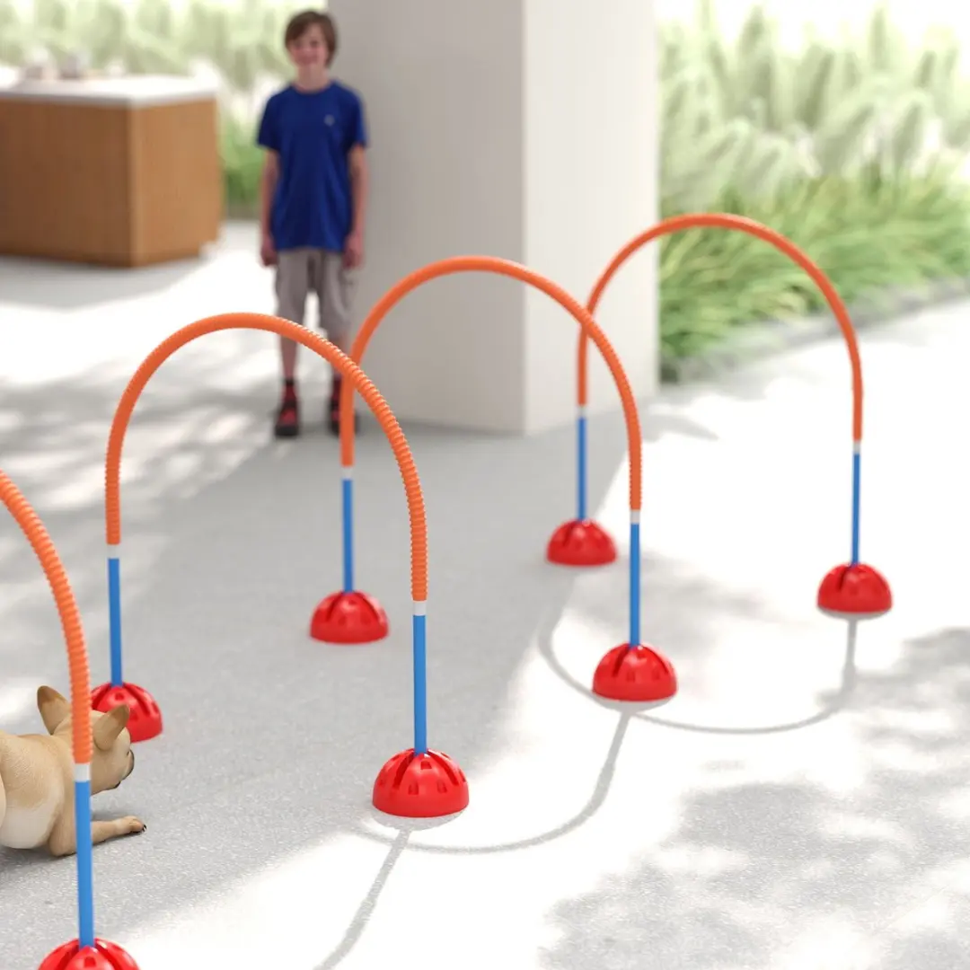 Pawhut Agility Set voor Honden - 4 Stuks - Blauw/Orange