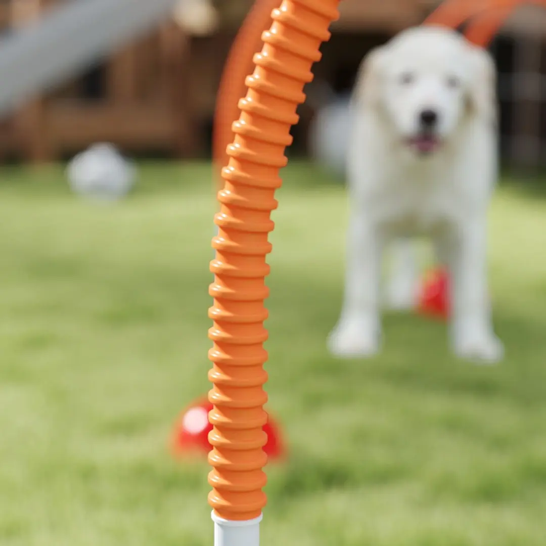 Pawhut Agility Set voor Honden - 4 Stuks - Blauw/Orange