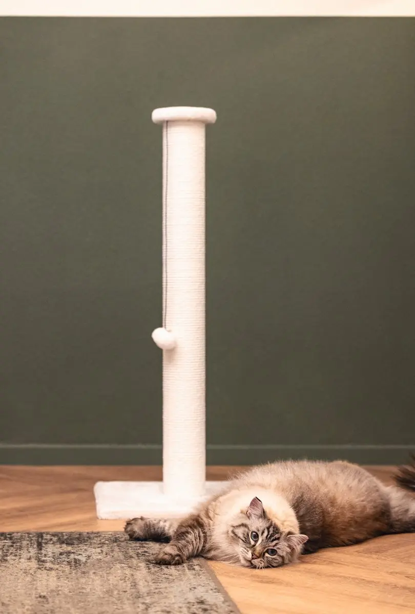 Beeztees Serpa XL Kattenkrabpaal Wit - 40x40x90cm