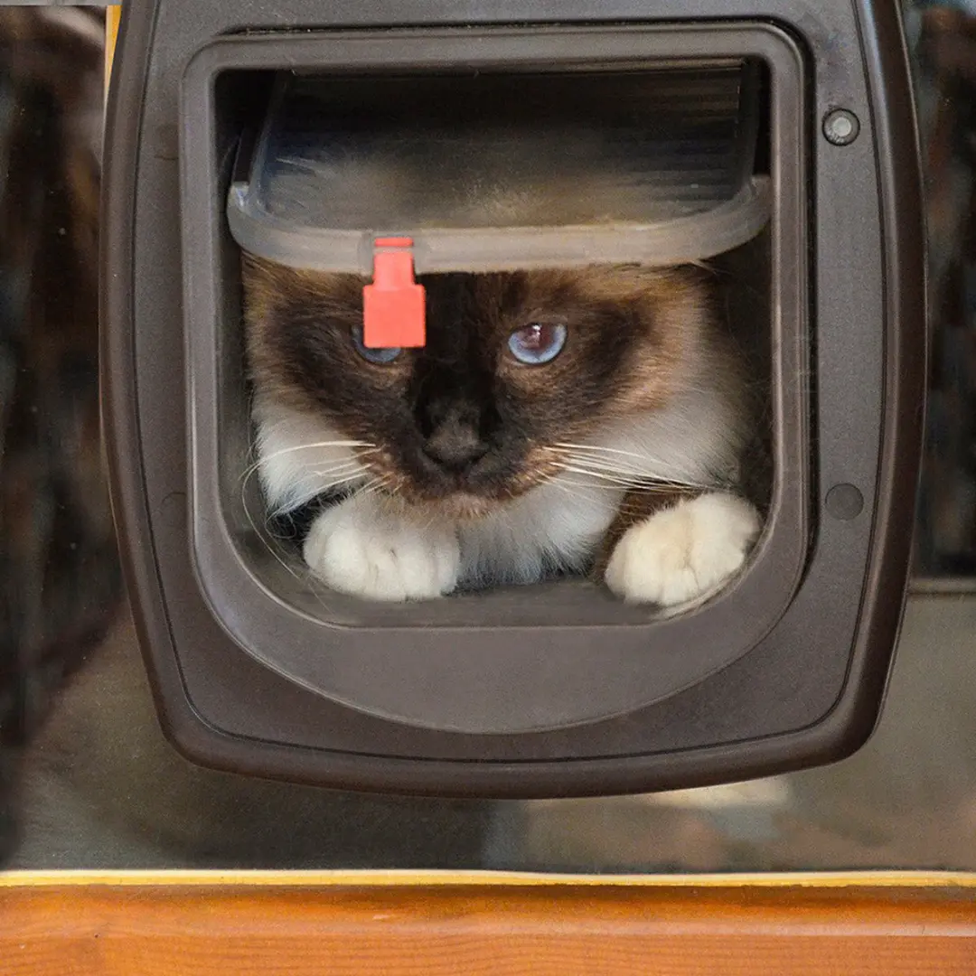 Ferplast Dierenluik Swing Microchip Kattenluik Wit