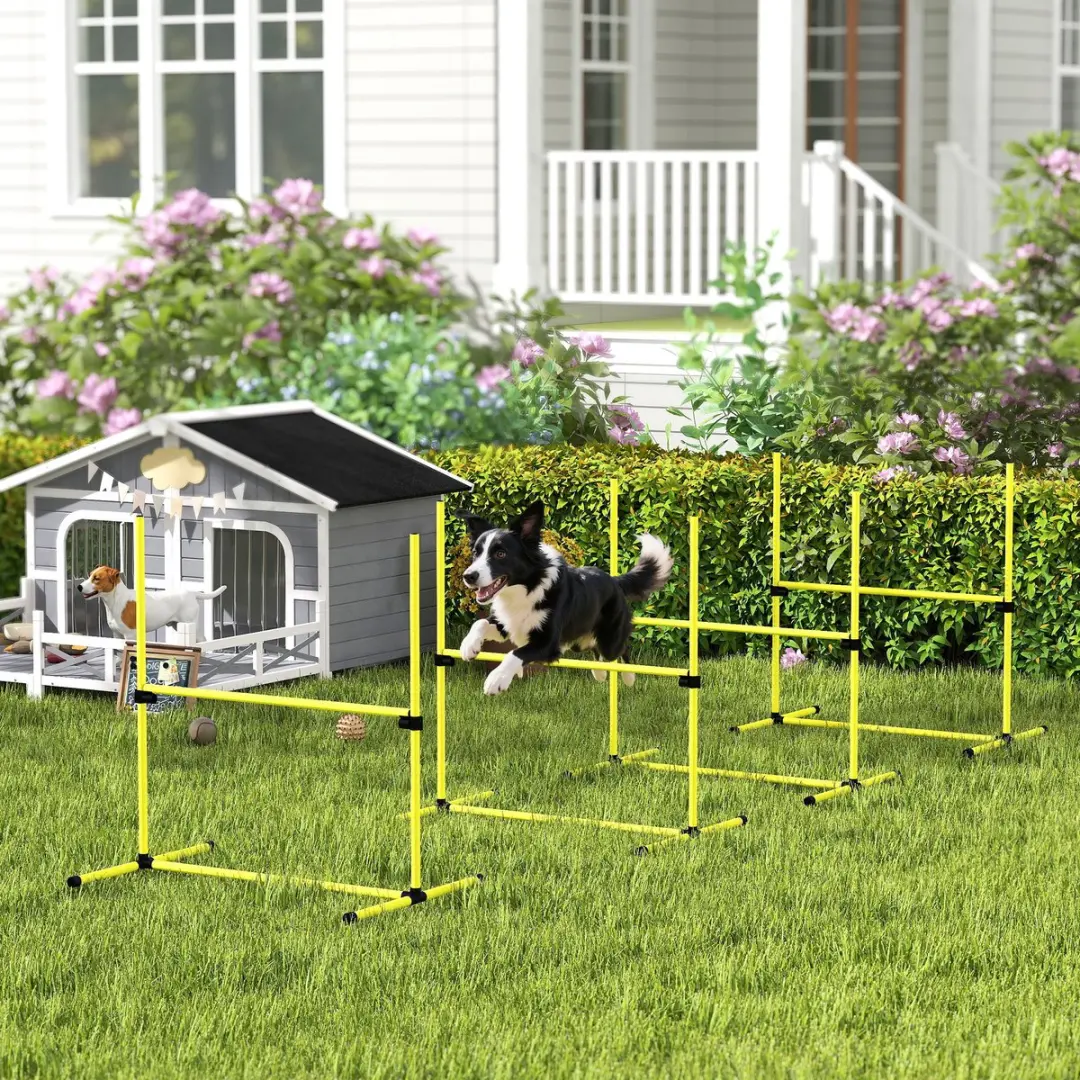 Pawhut Agility-Set Honden 4 Hürden - 99x65x94cm - Geel